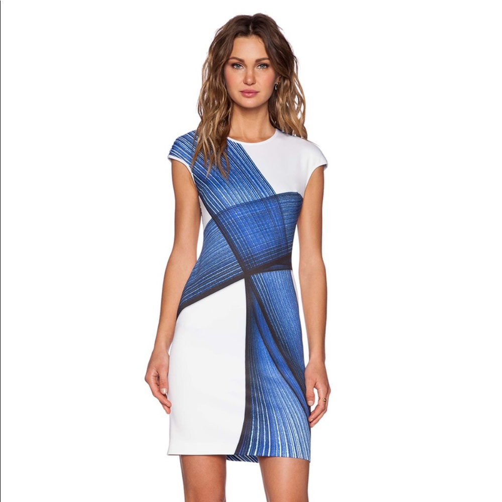 Clover Canyon Indigo Dream White Bodycon Dress